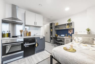 1 bed studio, Vauxhall Road, Aston, Birmingham, B74RB - Image 6